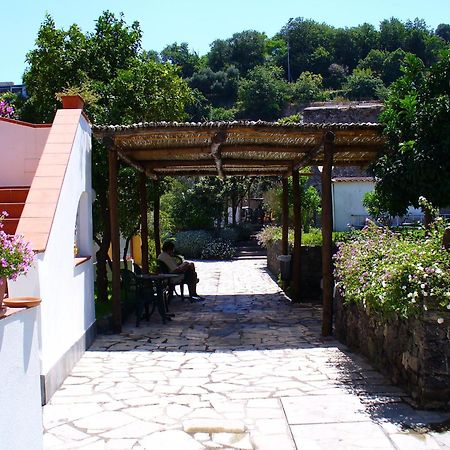 Hotel La Marticana 伊斯基亚 外观 照片