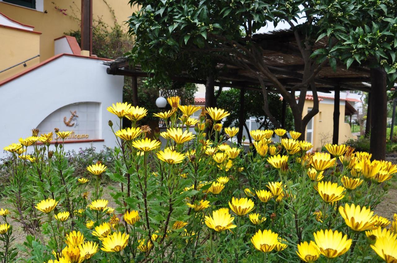 Hotel La Marticana 伊斯基亚 外观 照片