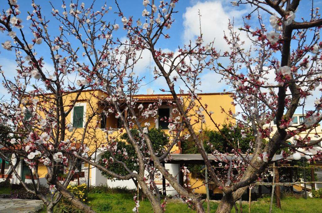 Hotel La Marticana 伊斯基亚 外观 照片