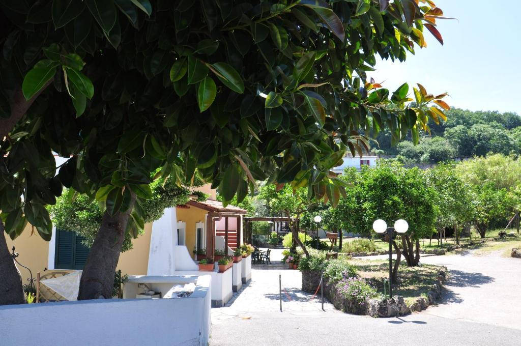 Hotel La Marticana 伊斯基亚 外观 照片