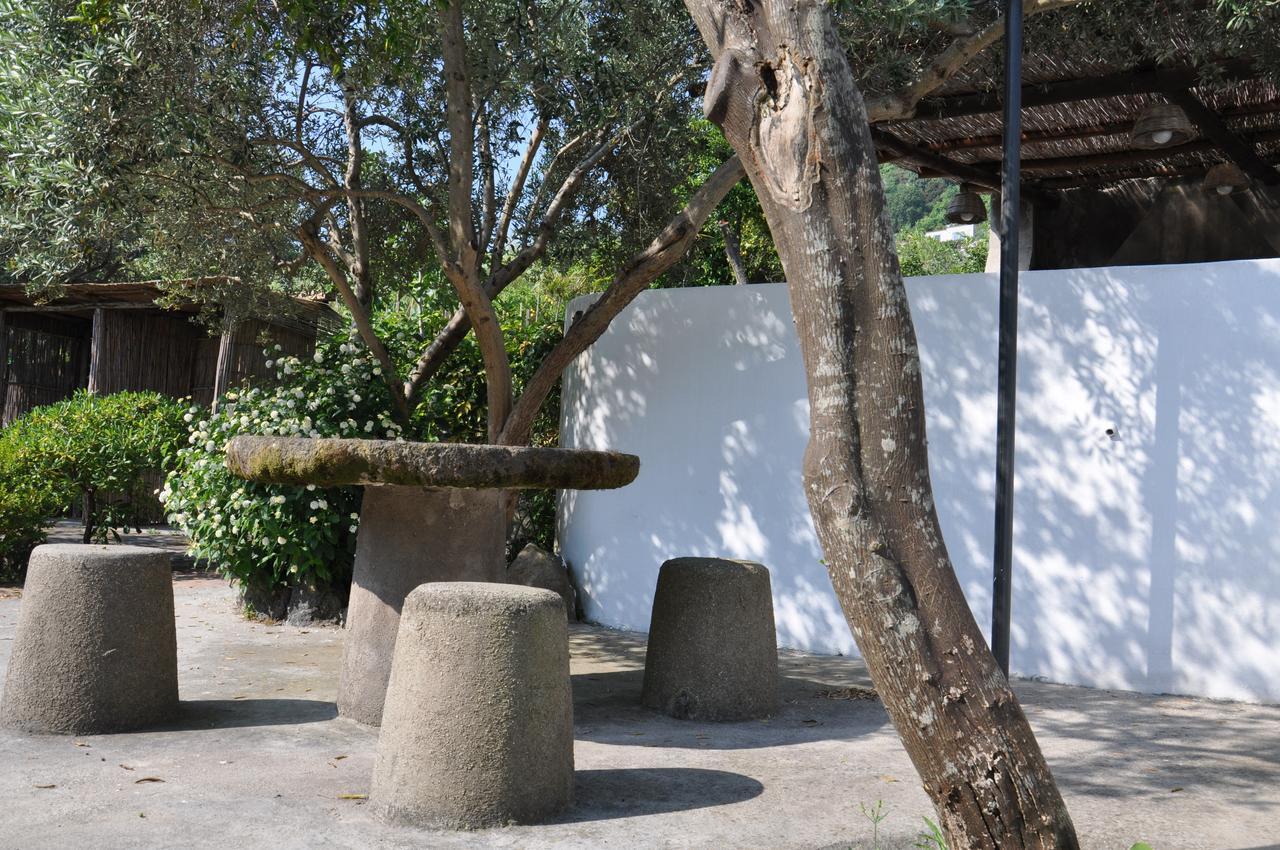 Hotel La Marticana 伊斯基亚 外观 照片