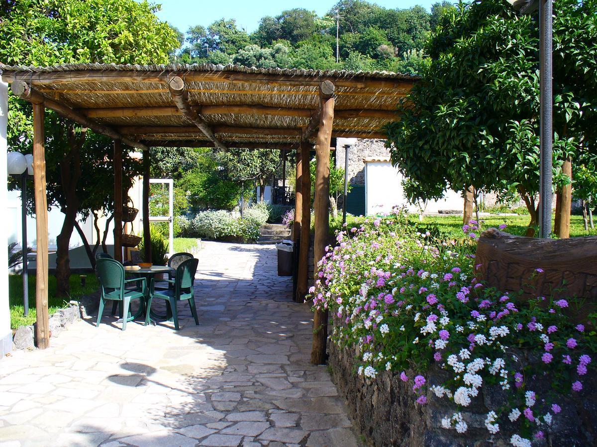 Hotel La Marticana 伊斯基亚 外观 照片