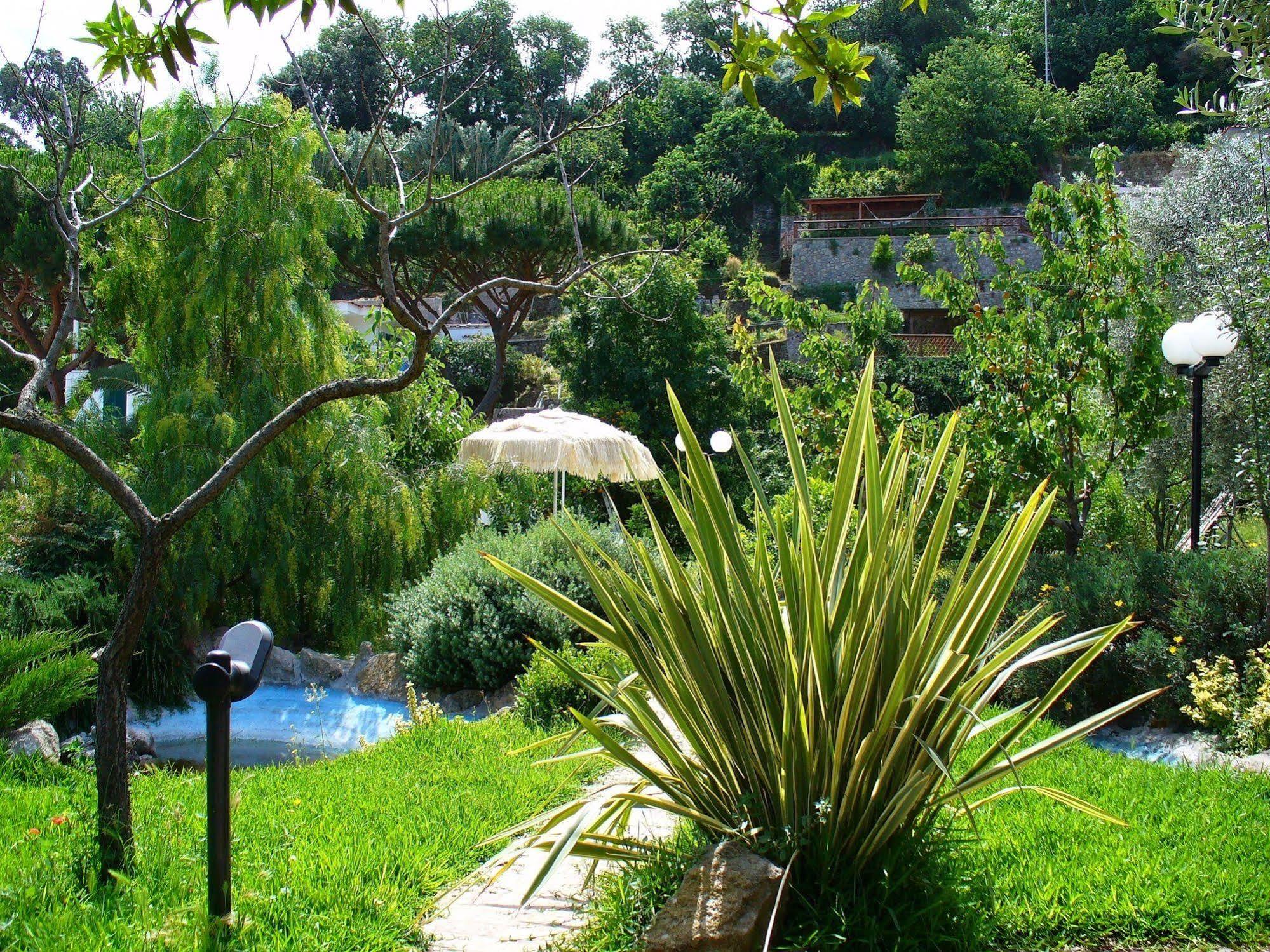 Hotel La Marticana 伊斯基亚 外观 照片